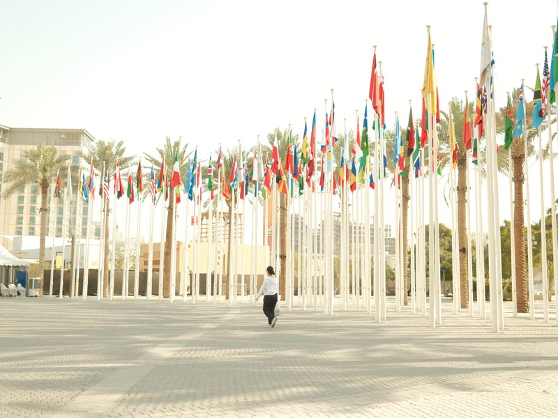 A person walking among rows of flags in a sunny outdoor plaza with palm trees.