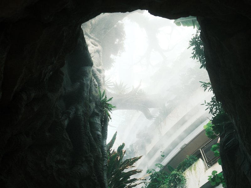 View from a cave-like opening looking up at a misty, green landscape with trees and foliage.