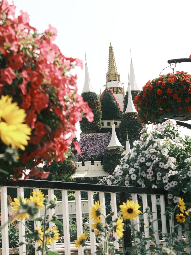 Colorful flowers in the foreground with a castle in the background under a bright sky.