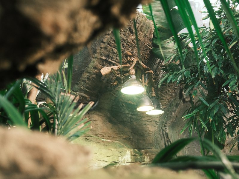 Close-up view of hanging lights in a lush indoor garden with green plants and rocky textures.
