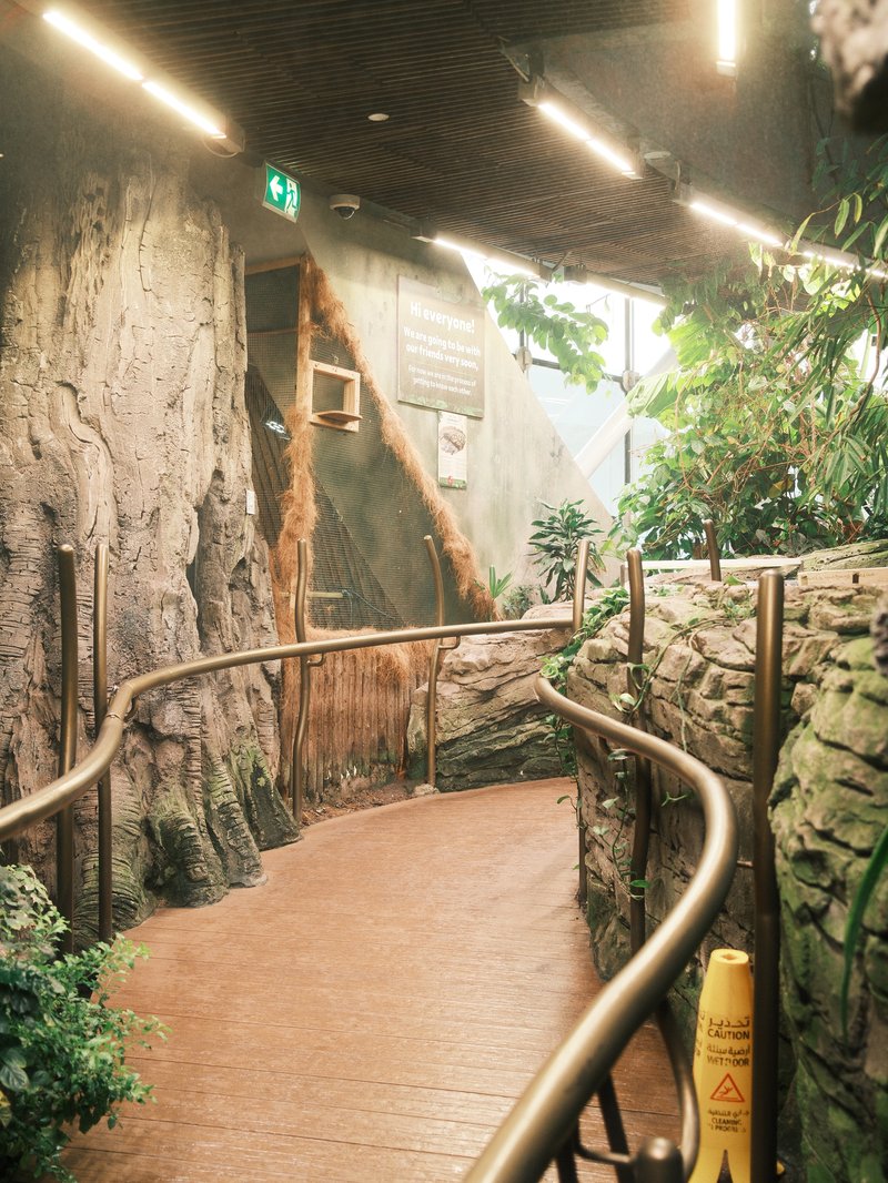 A winding indoor pathway surrounded by artificial rock formations and lush greenery.