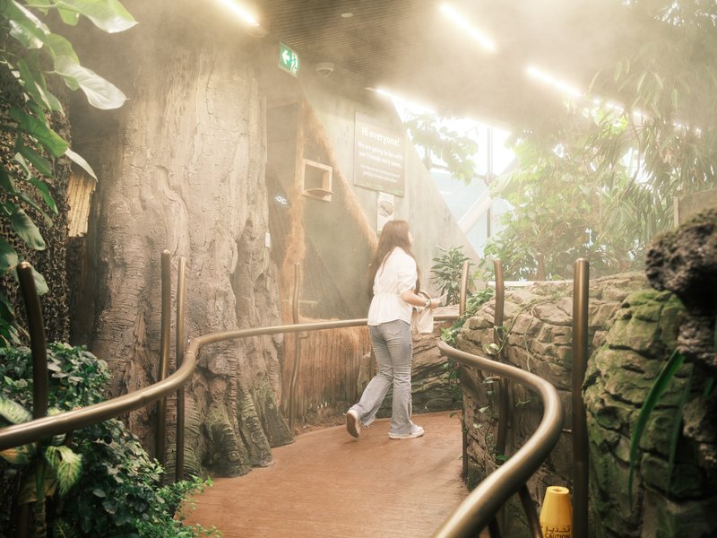 A person walking on a wooden path in a misty indoor tropical environment with lush greenery.