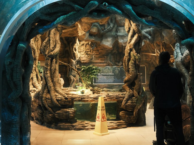 A person stands in an ornate indoor space with tree-like structures and a water feature.