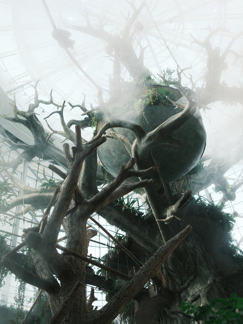 A misty indoor garden with large, twisted branches and a spherical structure surrounded by greenery.