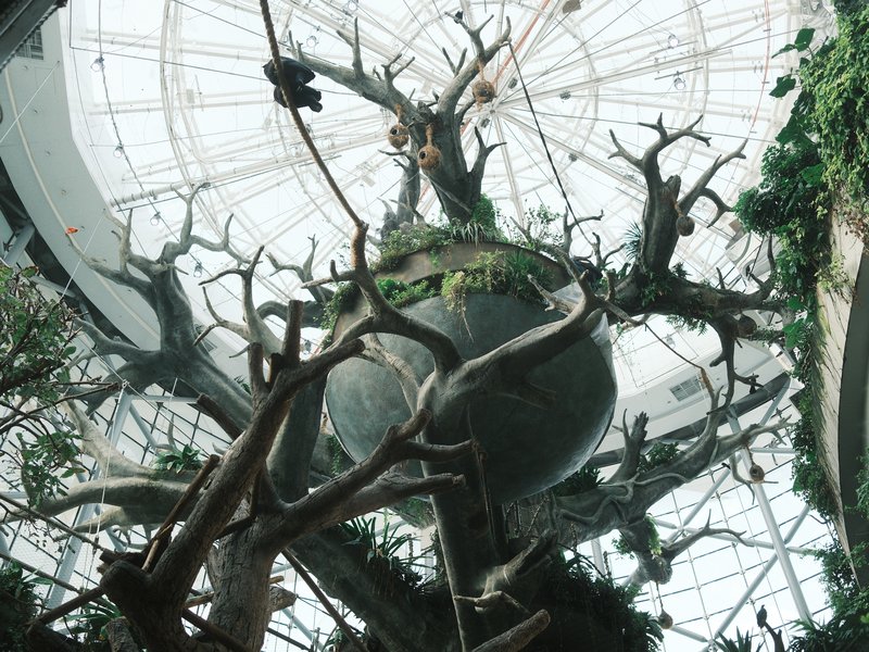 A large glass dome with twisted branches and greenery inside, creating a surreal indoor forest atmosphere.