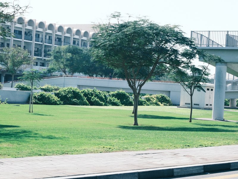 A grassy area with trees and a modern building in the background under clear skies.
