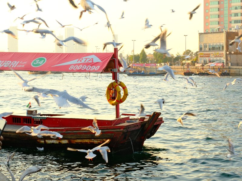 A red boat with a canopy floats on water surrounded by seagulls in flight during golden hour.