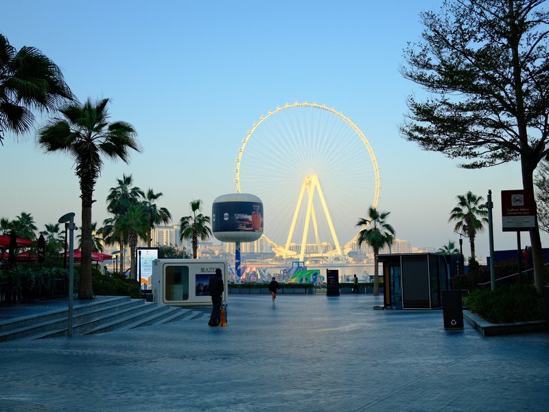 A waterfront scene featuring a large Ferris wheel illuminated against a twilight sky, surrounded by palm trees.