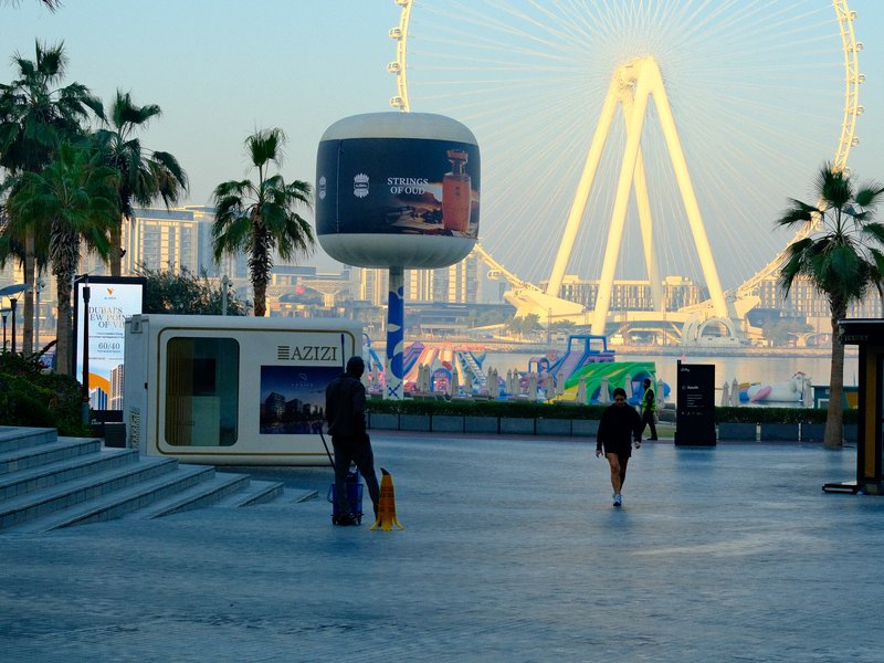 A scenic view of a waterfront area featuring a large Ferris wheel and palm trees under a clear sky.