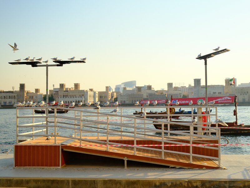 A waterfront scene featuring a wooden ramp and boats on the water with buildings in the background.