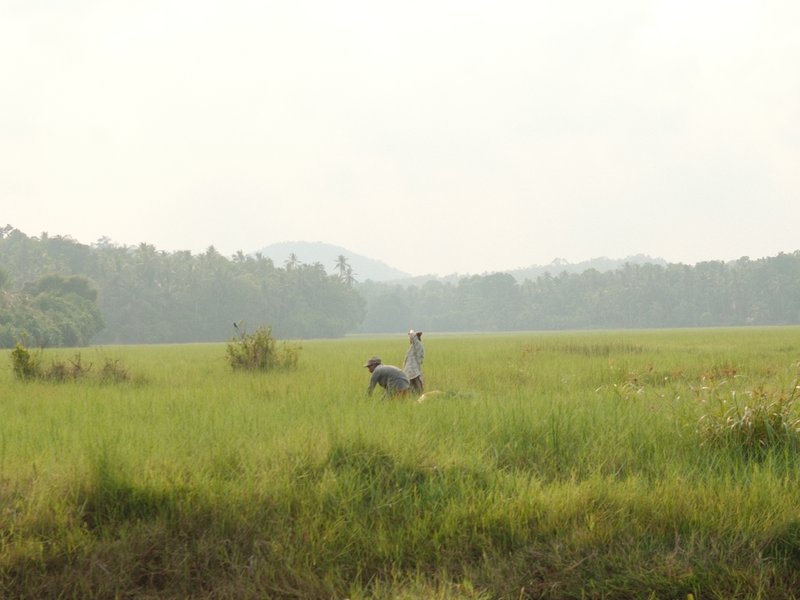 A person and a dog standing in a grassy field with distant hills and trees under a cloudy sky.