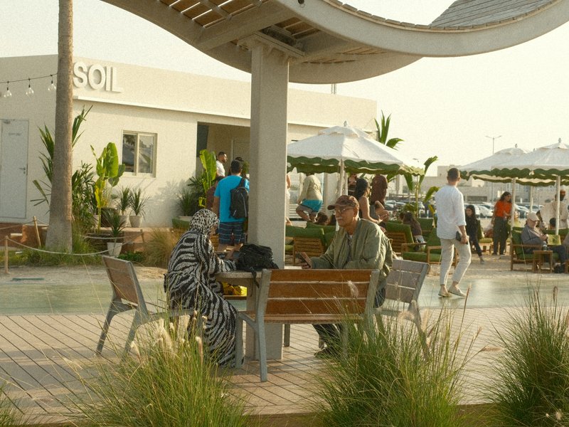 Two people sitting at a wooden bench in a lively outdoor setting with palm trees and a building in the background.