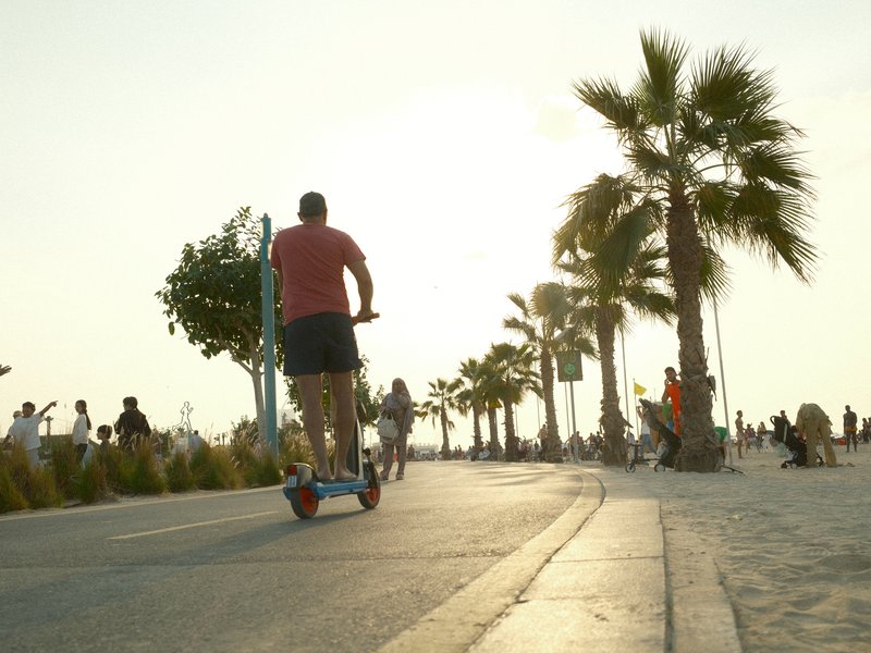 A person riding a scooter along a palm-lined promenade during sunset.
