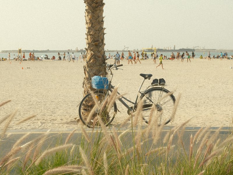 A bicycle parked beside a palm tree on a sandy beach with people in the background enjoying the sun.