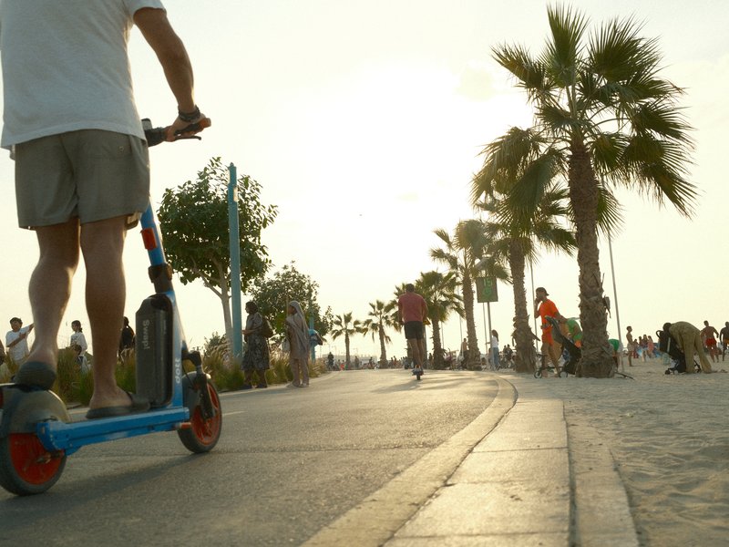 A person riding a scooter along a palm-lined promenade during sunset.
