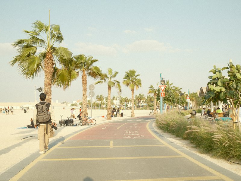 A palm-lined pathway along a beach with a person walking and people sitting in the background.