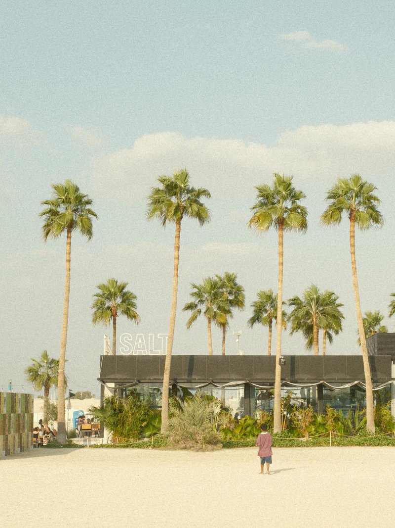 A beach scene featuring tall palm trees and a building in the background under a clear sky.