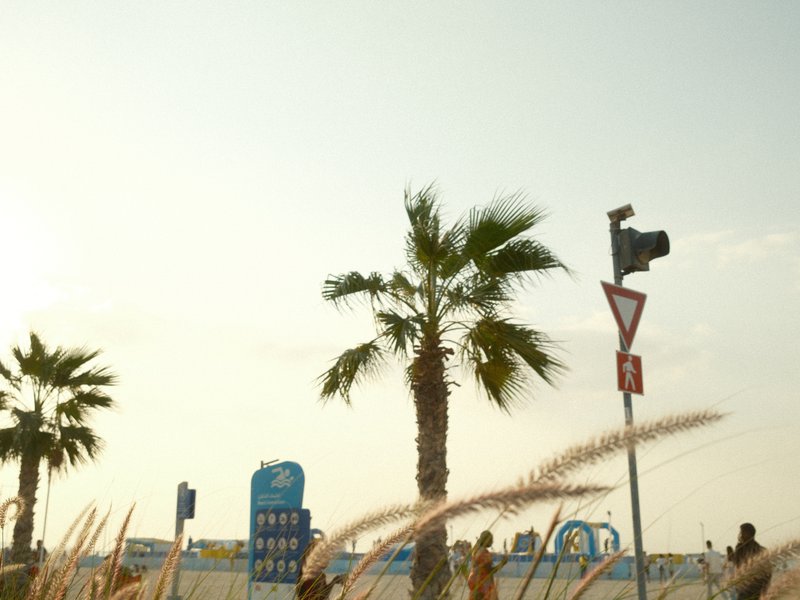 A beach scene featuring palm trees, a traffic signal, and colorful structures in the background under a bright sky.