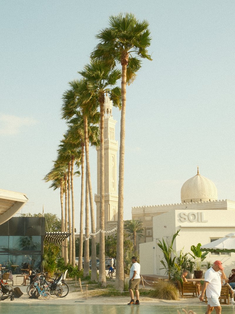 Palm trees lining a pathway with a white building and a tall tower in the background under a clear sky.