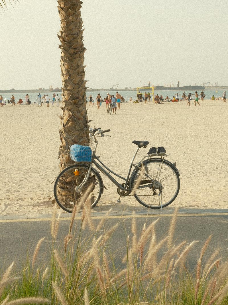 A bicycle leaning against a palm tree on a sandy beach with people in the background enjoying the sun.