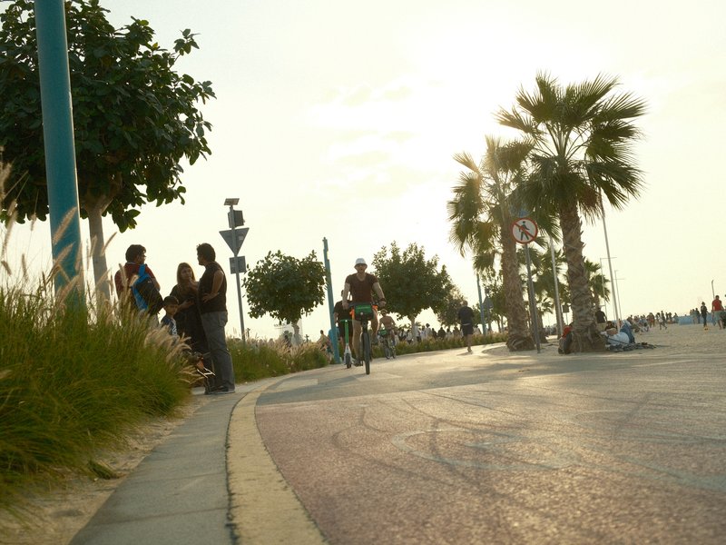 A cyclist rides along a coastal path lined with palm trees, with people chatting nearby in soft evening light.