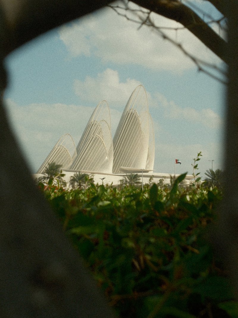 View of a modern architectural structure framed by tree branches and greenery.