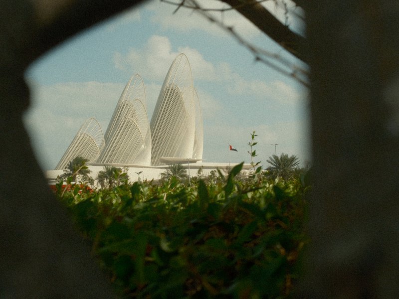 View of a modern architectural structure framed by foliage, with a cloudy sky in the background.
