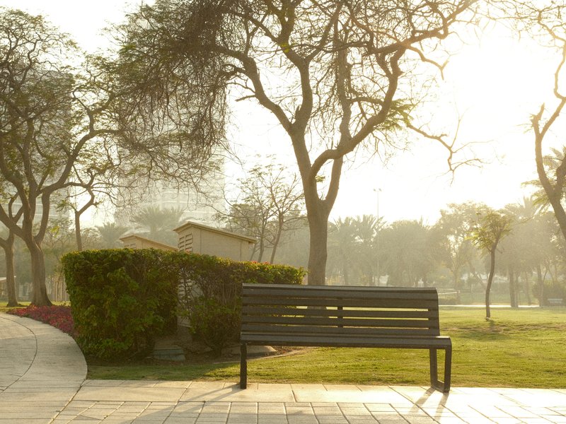 A park bench in a misty morning setting surrounded by trees and soft sunlight.