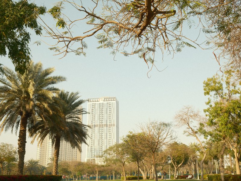 A view of palm trees and a tall building in a park under a clear sky.