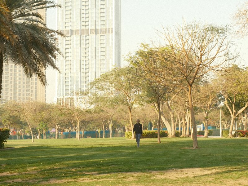 A person walking through a park with trees and a tall building in the background under clear skies.