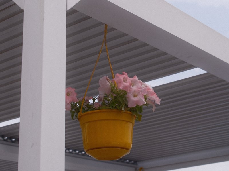 A yellow hanging pot filled with pink flowers suspended from a white structure.
