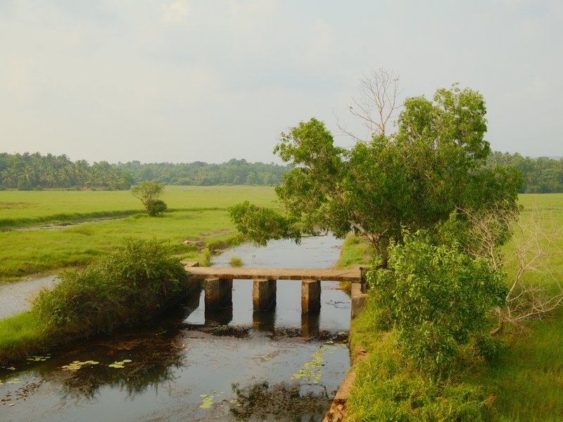 A serene landscape featuring a small bridge over a calm stream surrounded by lush greenery.