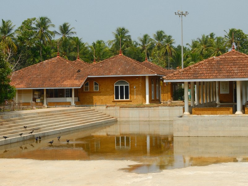A serene view of traditional architecture with a reflecting pool and palm trees in the background.