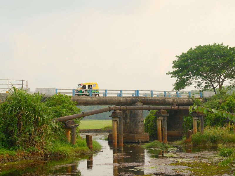 A yellow auto rickshaw crosses a rustic bridge over a shallow stream surrounded by greenery.
