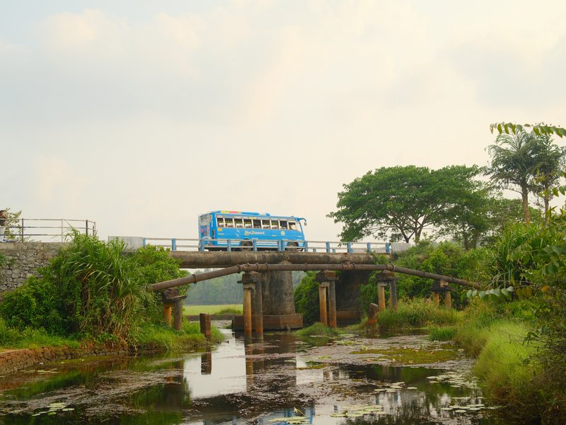 A blue bus crossing a bridge over a calm waterway surrounded by greenery.