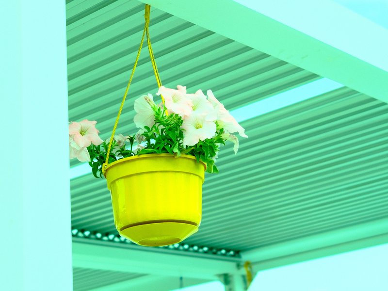 A yellow hanging flower pot with white flowers under a turquoise roof.