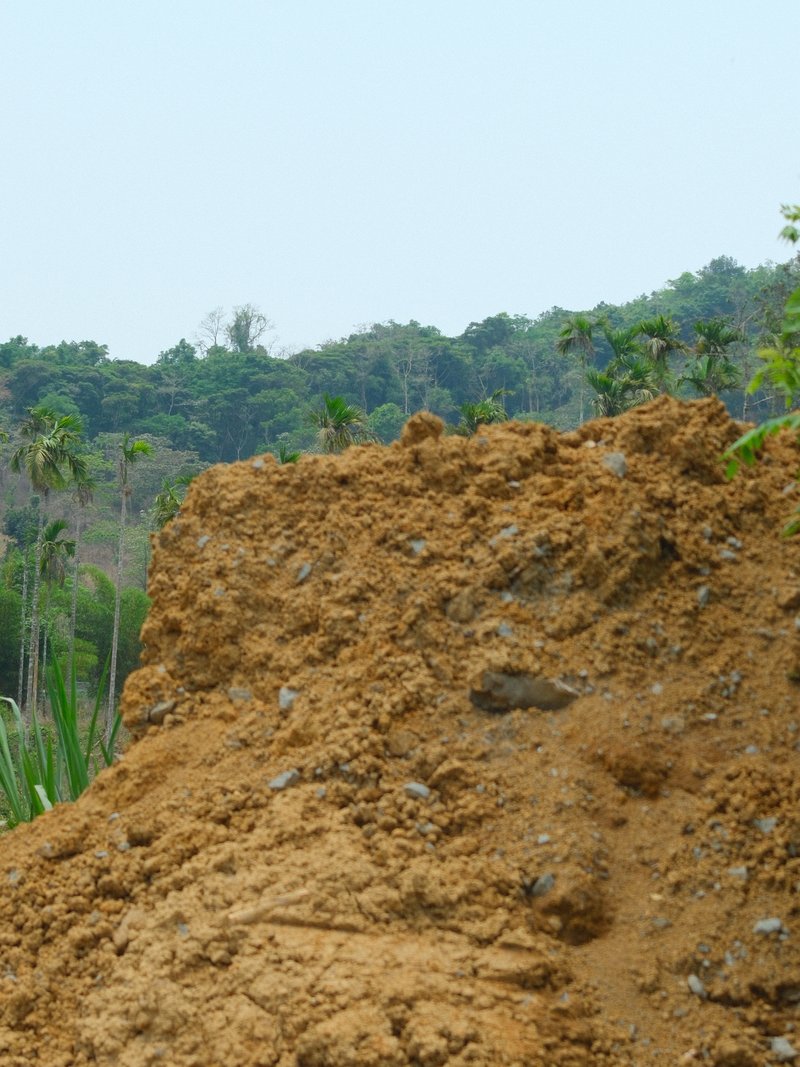 A mound of brown earth with a blurred green forest background under a clear sky.