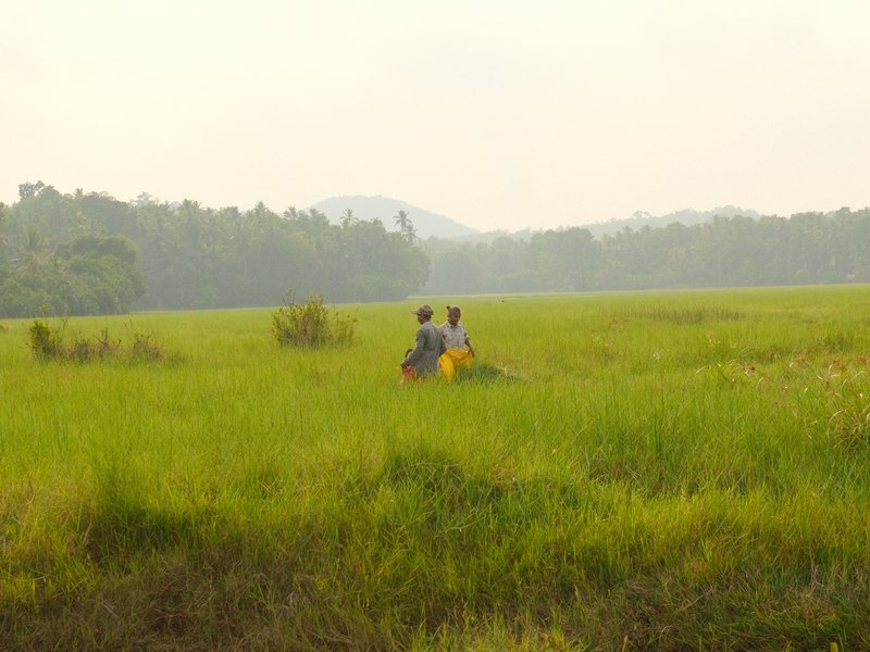 Two people sitting in a green field with trees and hills in the background under a hazy sky.
