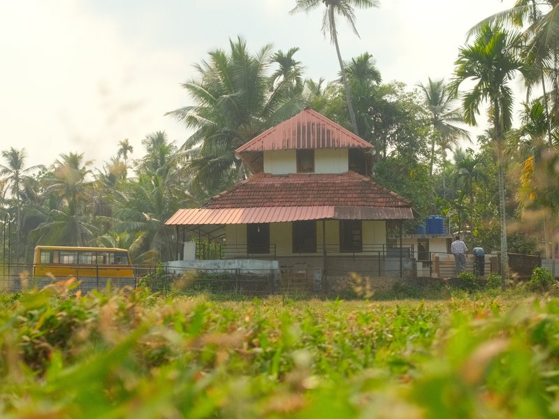 A traditional house with a red roof surrounded by lush greenery and palm trees in a rural setting.