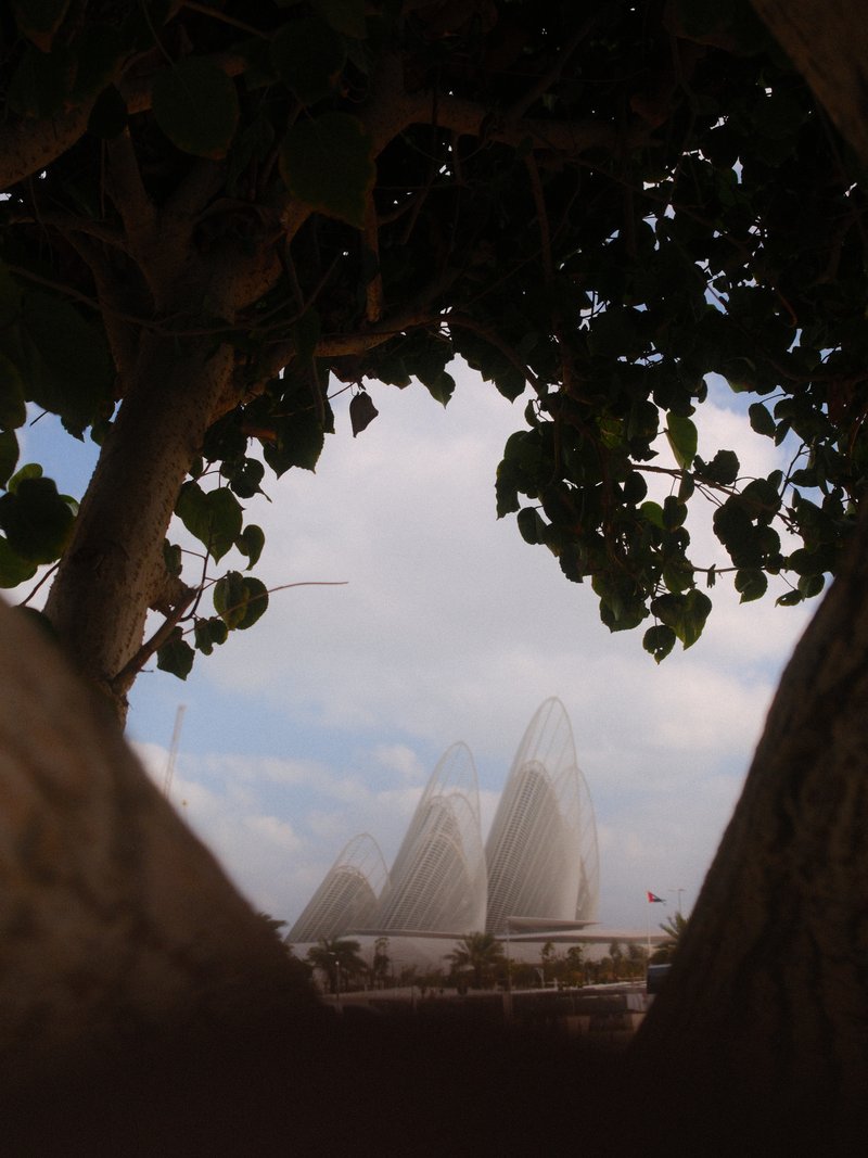 View through tree branches framing a modern architectural structure with pointed roofs against a cloudy sky.