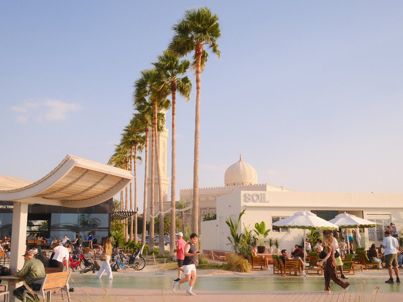 A lively outdoor scene with palm trees, people walking, and a modern building in the background.