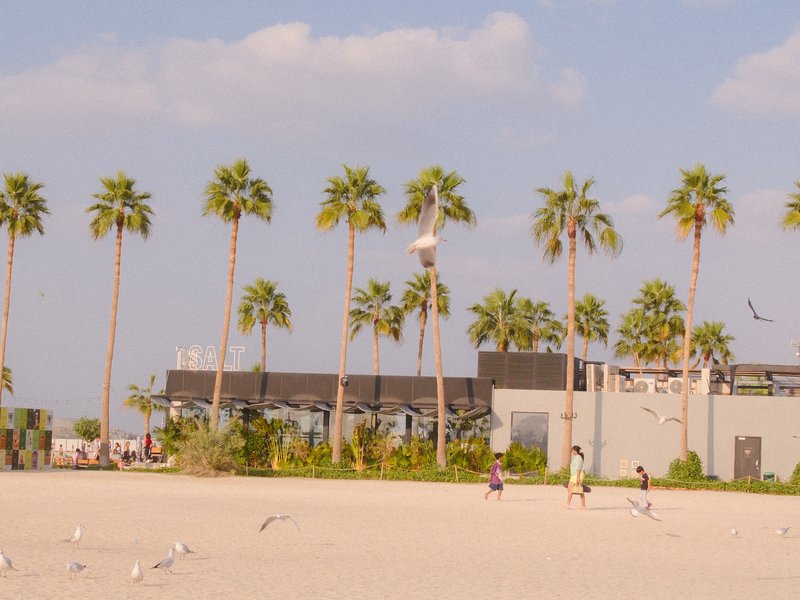 A beach scene with palm trees, a modern building, and people walking on the sand under a blue sky.