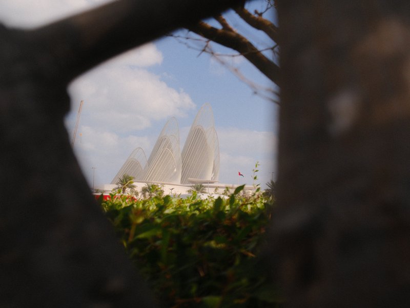 View of three unique buildings framed by tree branches and foliage.