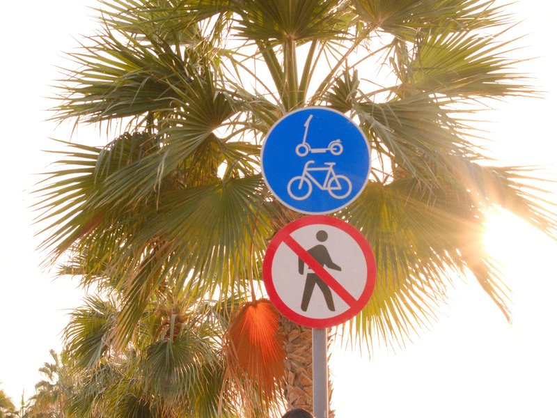 Traffic signs indicating no walking and allowed bicycles near palm trees with sunlight.
