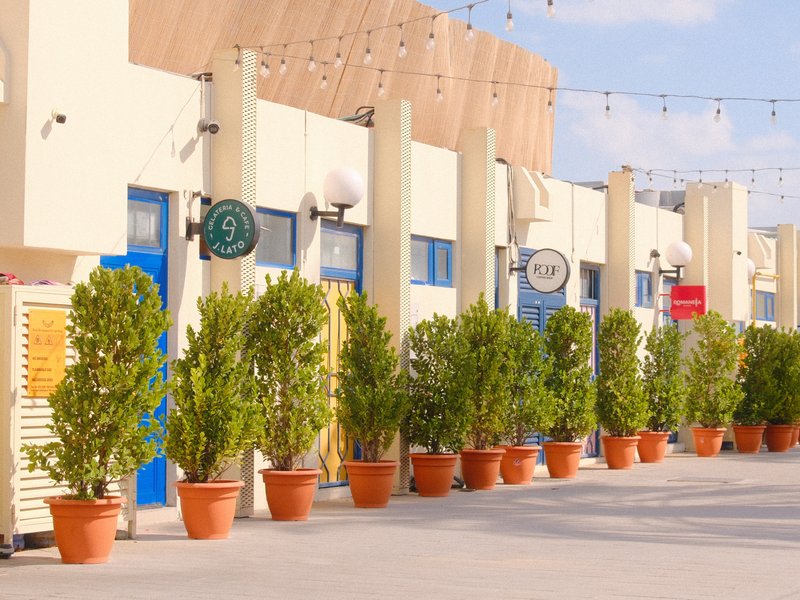 Row of potted plants in front of a building with colorful signs and string lights.