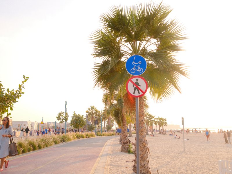 A beachside path with palm trees and signage for cyclists and pedestrians during sunset.