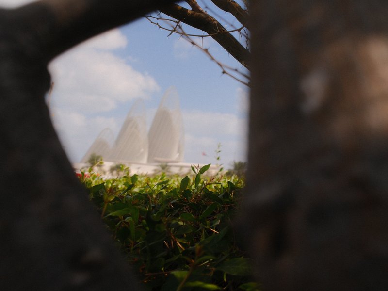 View of three distinctive buildings through a tree branch, with blue sky and scattered clouds.