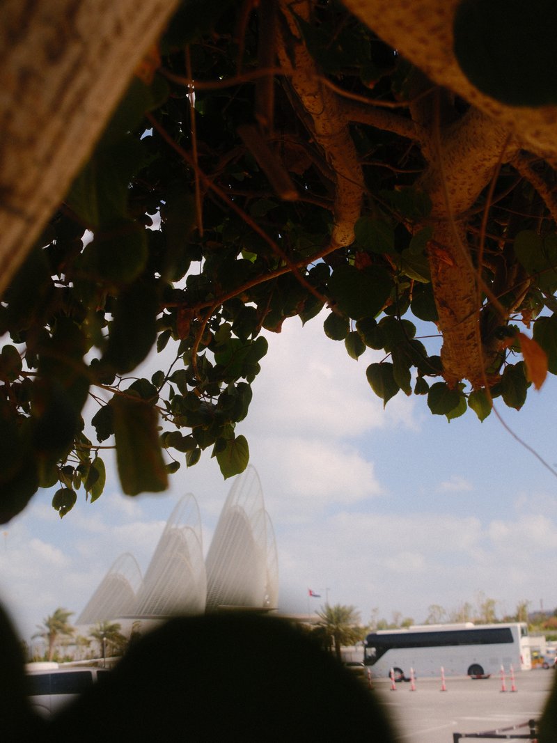 View through foliage of modern architecture and a bus in a coastal setting under a blue sky.
