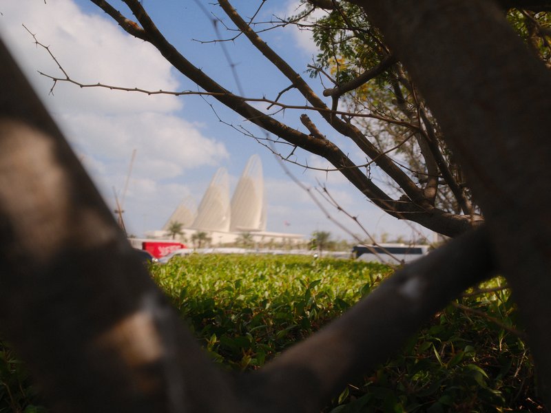 View of modern architectural structures framed by tree branches and greenery.