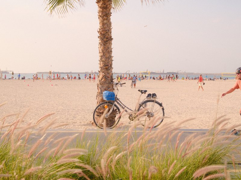 A bicycle parked near a palm tree on a sandy beach with people in the background enjoying the sun.
